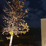 Uliwood Maison d'hôtes 4*