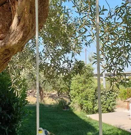 Uliwood Penzion Caltanissetta