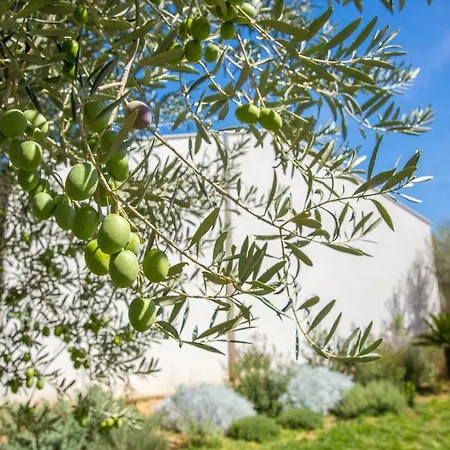 Uliwood 4* Caltanissetta